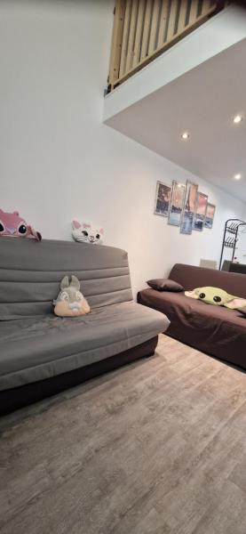 Studio mezzanine avec accompagnement au parc Disneyland inclus